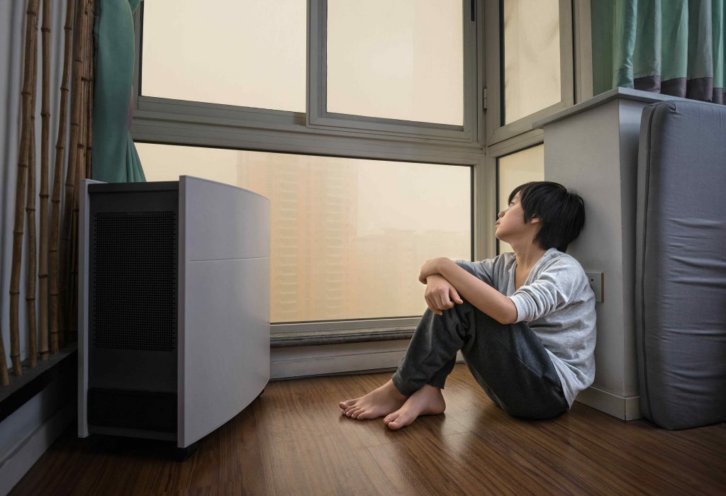 Best Air Purifier for Allergies