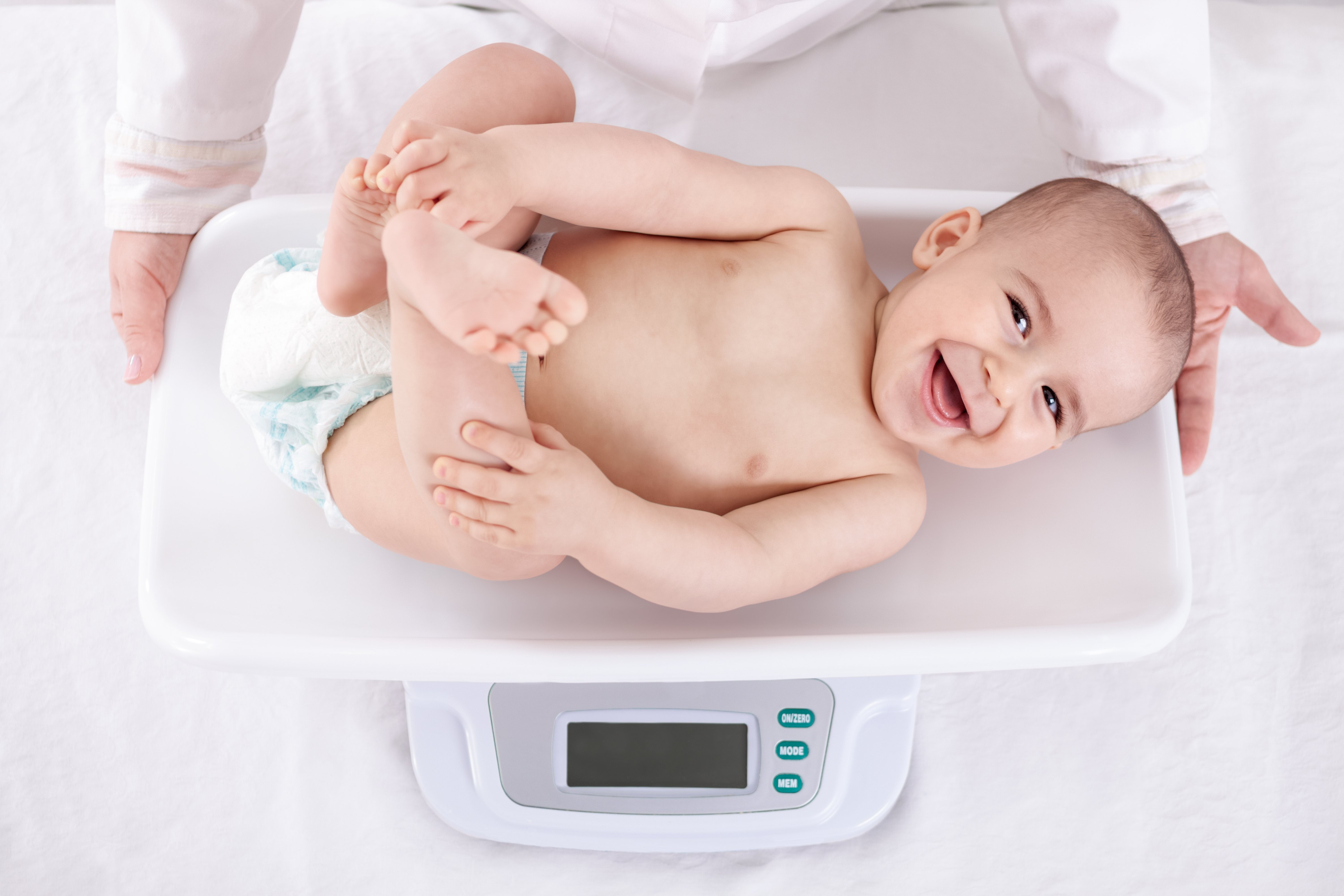 Best Digital Baby Scale